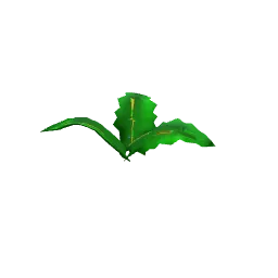 Buildpic of Grass5