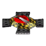Buildpic of Angler